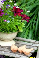 Petunia and Lobelia planted in an old metal colander.  Clay bird toppers used as a decorative feature.