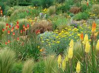 The Steppe Garden at Lady Farm, Somerset