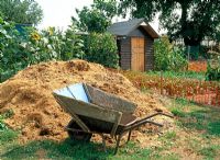 Customised wheelbarrow by large pile of manure and allotment shed