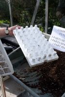 'Propamatic' reusable, polystyrene pegboard stand which supports growing tray and reverses to eject cuttings