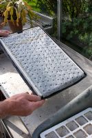 'Propamatic' capillary matting placed over polystyrene pegboard stand - which supports growing tray - in black watertight tray which acts as a water reservoir 