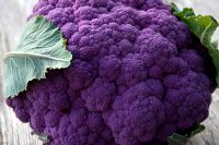 Cauliflower 'Violet Queen' 