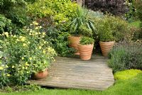 Decking with pots containing Yucca, clipped Buxus and Hosta, and adjacent mixed border with Oenothera biennis, Rosa, Lavandula and Potentilla at 'Little Stubbins', Lancashire NGS 