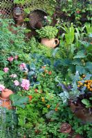 Decorative and productive kitchen garden in a small space that combines vegetables, fruit and herbs with flowers - Courgettes, parsley, kohl rabi, red cabbage, sweet corn and sage with alpine strawberries, roses, nasturtiums, French marigolds and sweet peas