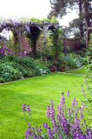 Lawn with border and Wisteria covered pergola in late Spring - End Lodge, NGS