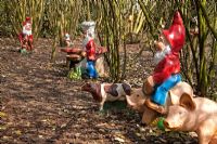 Woodland gnomes - Appeltern garden, Holland 