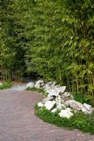 Bamboo grove - Appeltern garden, Holland 