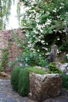 C19 Old Potting Shed remains with water pump and climbing rose - Borde Hill, Sussex