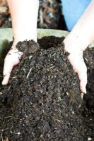 Freshly made compost