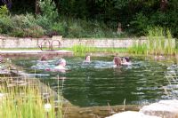 Family swimming in a natural swimming pool