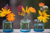 Marigolds, lavender and Centranthus ruber in vases on window sill 