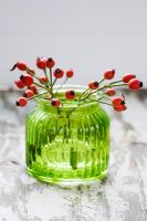 Rosehips in green glass vase