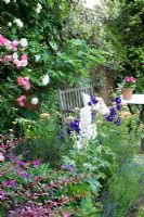 Summer border with climbers, roses  Delphiniums and wooden bench