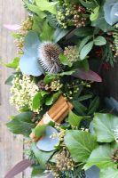 Christmas wreath made from Viburnum flowers, teasel seedheads, cinnamon sticks, ivy and Eucalyptus foliage, hanging from rustic door 