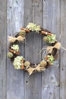 Christmas wreath made with dried Hydrangea flowers, dried limes, cinnamon sticks and raffia bows, hanging from rustic door