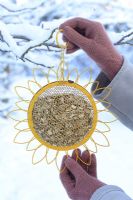 Hanging up a bird feeder full of sunflower seeds in winter 