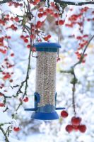 A bird feeder with sunflower hearts, hanging in a crab apple tree in winter 