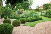 Gravel and topiary area in country garden with clipped Ilex - Holly standards underplanted with Thuja balls
 