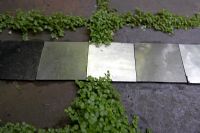 Silver, reflective squares laid on paving tiles with Soleirolia soleirolii syn. Helxine soleirolii growing in the cracks - Small urban garden, London

