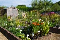 Plant sales area at Marchants Nursery, East Sussex
