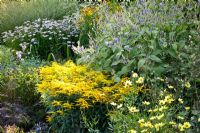 Solidago 'Laurin' and Coreopsis 'Full Moon' in late summer border