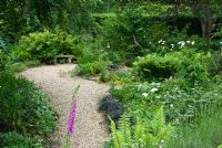 Gravel path leading through front woodland garden. Sandhill Farm House, Hampshire, June.
