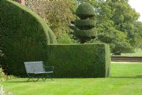 Secluded bench by Taxus baccata - Yew buttress and topiary at Arley Hall and Gardens, Cheshire 