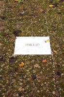 Inscription in stone patio. The Field. Il Bosco Della Ragnaia, San Giovanni D'Asso, Tuscany, Italy, October. 
 