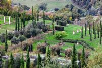 The Field. Il Bosco Della Ragnaia, San Giovanni D'Asso, Tuscany, Italy, October. 