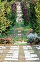 Patterned patio and steps beyond. The Field. Il Bosco Della Ragnaia, San Giovanni D'Asso, Tuscany, Italy, October. 
 