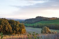 The Tuscan landscape. Il Bosco Della Ragnaia, San Giovanni D'Asso, Tuscany, Italy- The Field. October.