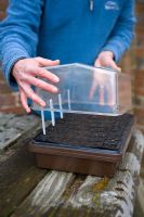 Placing just watered newly sown seeds into a propagator