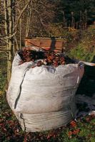 Builders sacks can be used to store autumn leaves