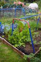 Metal play frame structure used alongside black netting to protect vegetables