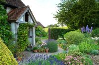 Traditional English cottage garden with pots and containers next to door. Plants include Verbena, Lavandula, Spiraea, Lonicera clipped into a ball and Delphinium. Carol and Malcolm Skinner, Eastgrove Cottage, Worcs, UK
 