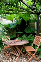 Gravel patio in small urban garden with wooden folding table and chairs under pergola. Gunnera and Ferns behind.