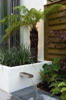 Small urban courtyard garden with raised bed and Tree fern, lighting and water feature 