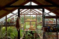Autumn greenhouse interior. Carol and Malcolm Skinner, Eastgrove Cottage, Worcs. October 