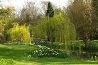 Lake in country garden in spring. Great Thurlow Hall, Suffolk, UK