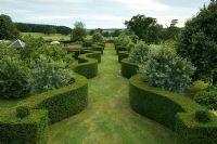 Elevated view of wide grass path bordered by wavy Taxus - Yew hedging. Robinson garden, Ousden House, Suffolk