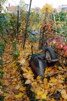 Path covered in autumn leaves on an allotment with upturned wheelbarrow in foreground - Arvon Road Allotments, Highbury, London 