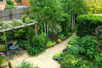 Overview of small urban garden patio with pergola and seating area, planting of Betula and Hostas - NGS garden, Foster Road, Peterborough, Cambridgeshire 
