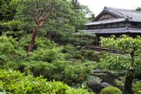 Ike or Pond garden - Yoshikien garden, Nara, Japan