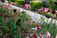 The black box - One of the spring show gardens at Schloss Ippenburg, Germany