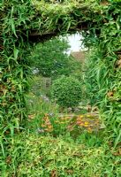 Window in ivy clad fence - The Priory, Wiltshire