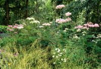Millium effusum 'Aureum', Filipendula and Aquilegia in the woodland garden - Beth Chattos Garden, Essex