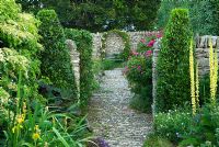 Stone path framed with laurel pillars, Verbascum chaixii, V. chaixii 'Album', Campanula and Lychnis coronaria 'Alba' with Hydrangea petiolaris on the left and Rosa 'De Rescht' on right beyond wall. Path leads to seat framed by rose covered arch - Coastal Garden, Dorset
