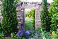View through doorway into orchard full of red poppies, other wildflowers and annuals, framed by fastigiate yews and blue hardy geraniums below - Coastal garden, Devon
