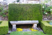 Cushion of clipped yew behind a stone bench in the box edged parterre garden - Coastal garden, Devon