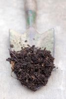 Soil sample on tip of garden trowel - Garden compost